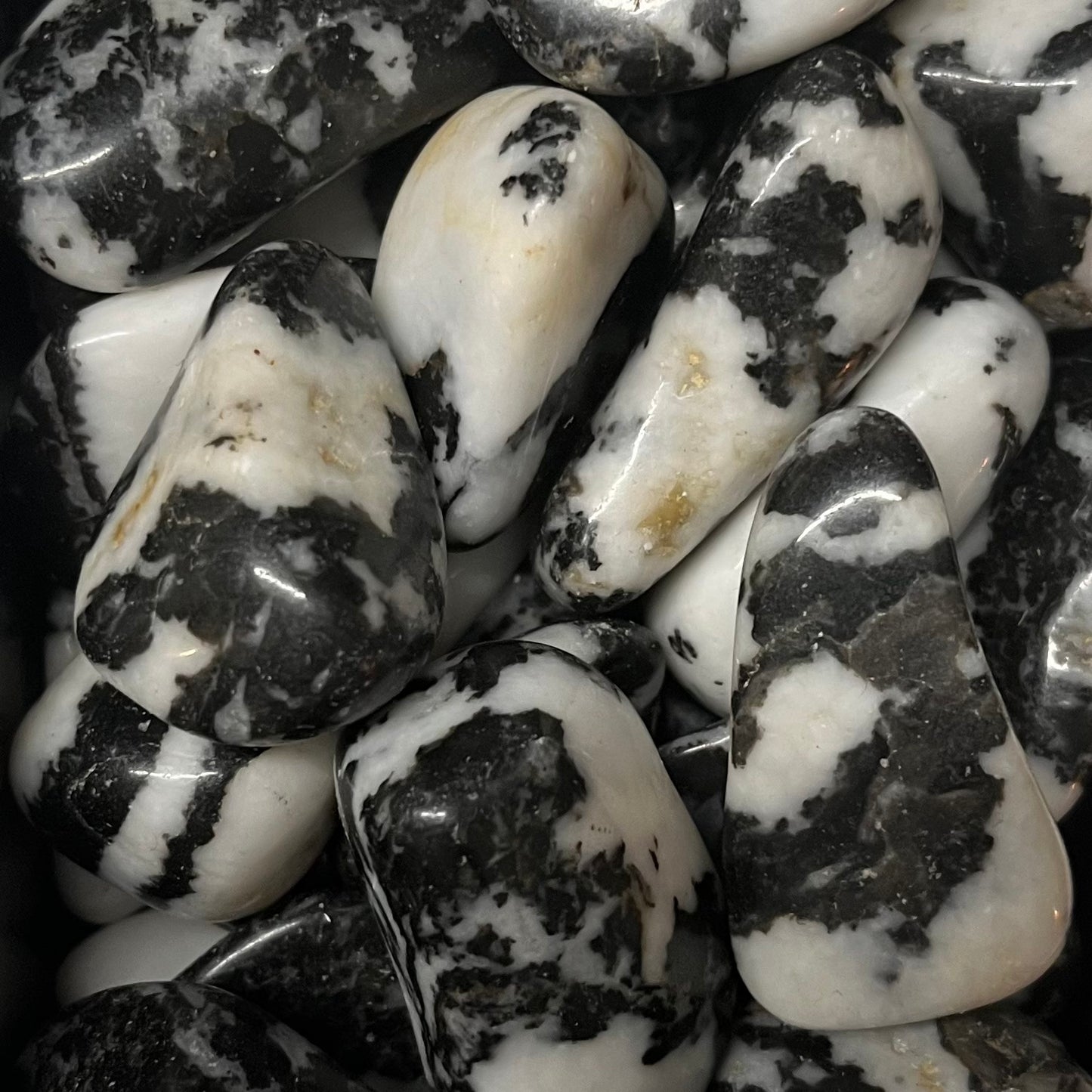 Zebra Jasper