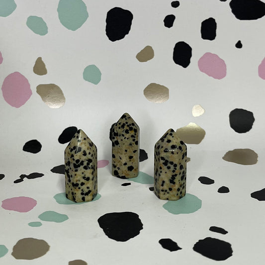 Dalmatian Jasper Mini Points